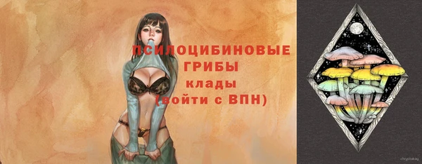 не бодяженный Горно-Алтайск