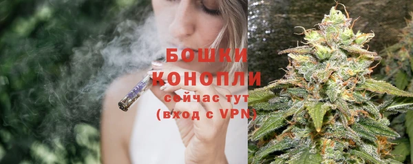 альфа пвп Гусиноозёрск