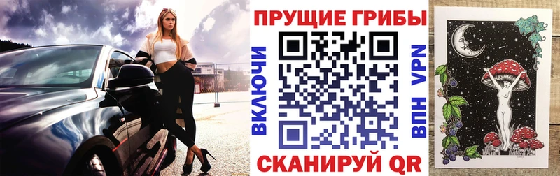 Псилоцибиновые грибы Psilocybine cubensis  Сызрань 